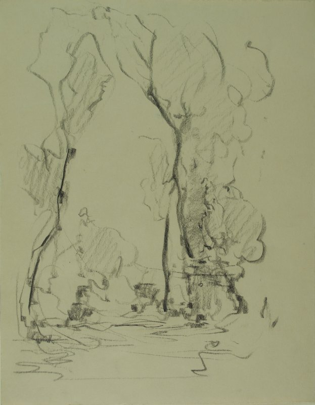 1930-1940 ca. -Alberi